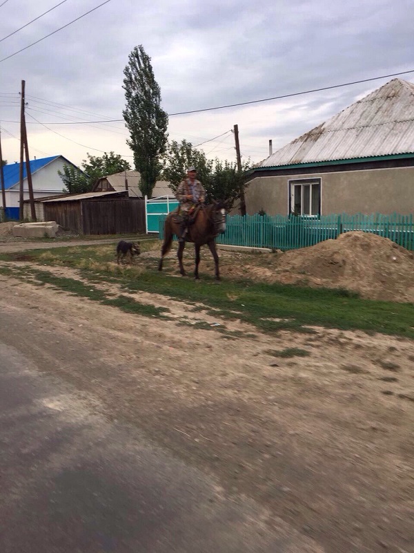 Шёлковый Путь 2017